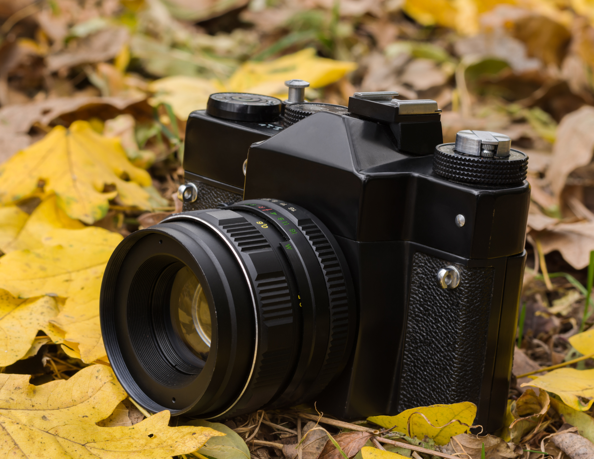 image of a DSLR camera on the ground surrounded by orange leaves.